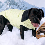 Diamond Puffer GF Pet.us