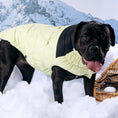 Load image into Gallery viewer, Diamond Puffer - Southlake Paws
