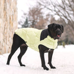 Diamond Puffer GF Pet.us