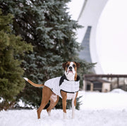 Diamond Puffer GF Pet.us