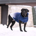 Load image into Gallery viewer, Good Vibes Hoodie - Southlake Paws
