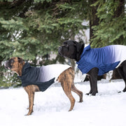 Good Vibes Hoodie GF Pet.us