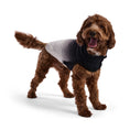 Load image into Gallery viewer, Good Vibes Hoodie - Southlake Paws
