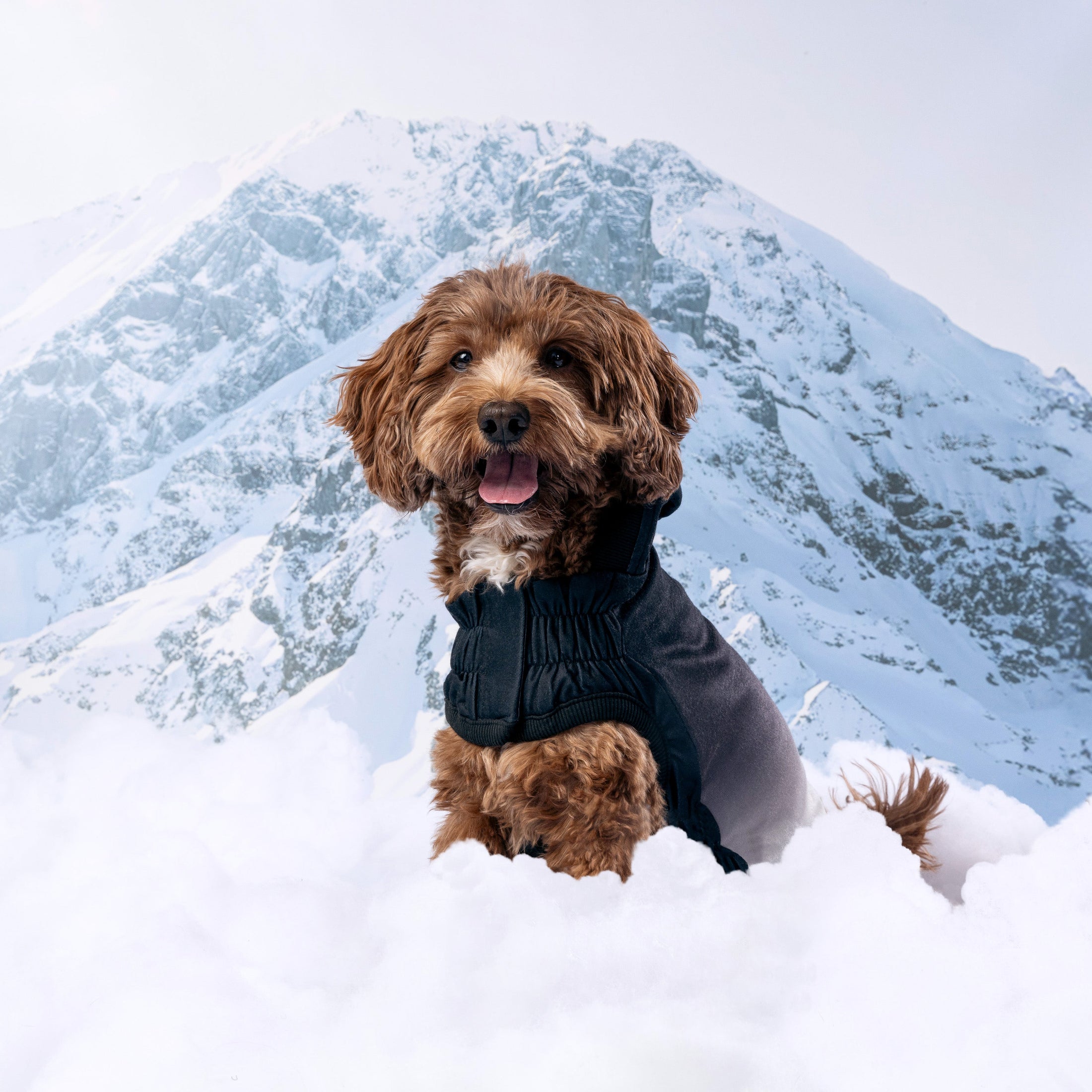 Good Vibes Hoodie - Southlake Paws