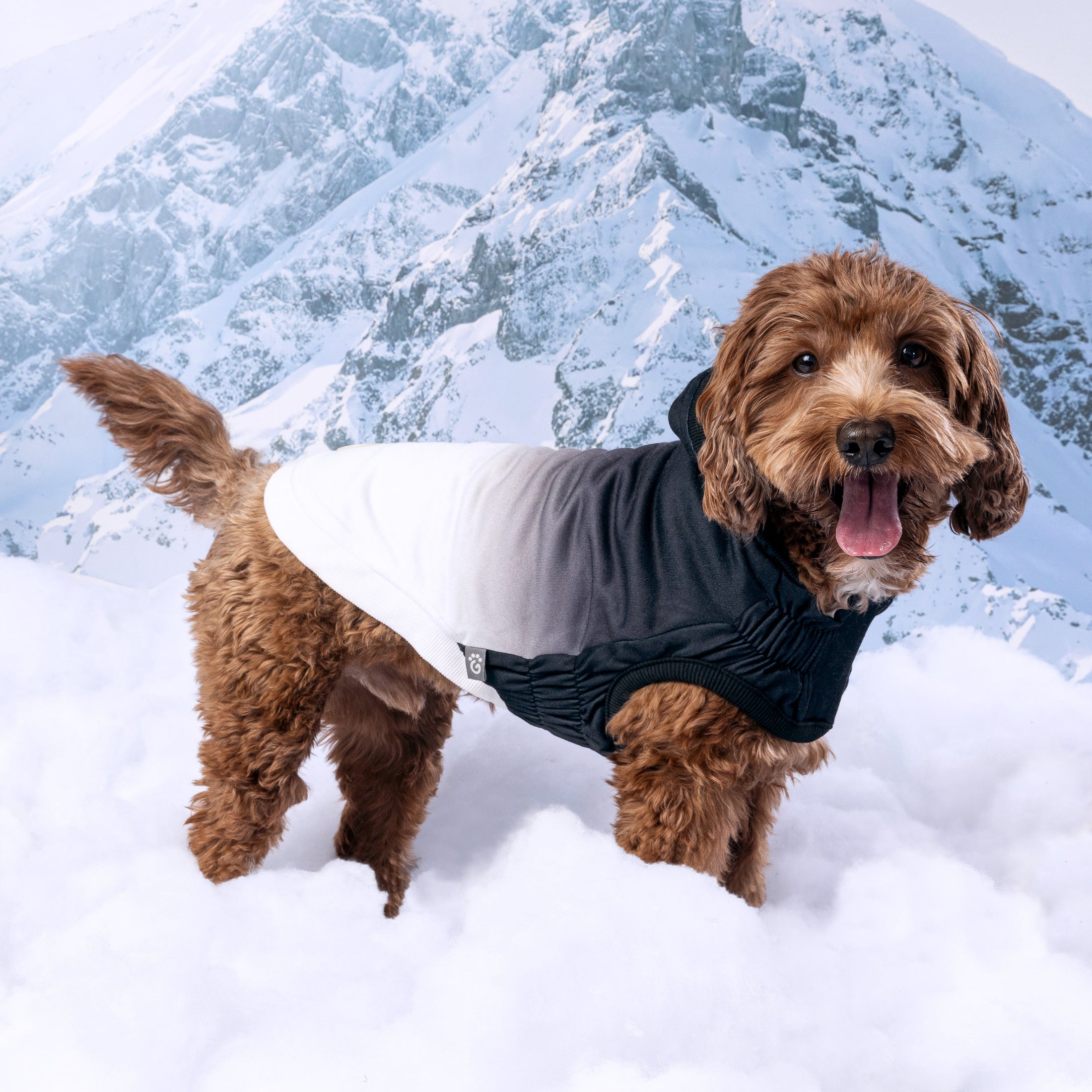 Good Vibes Hoodie - Southlake Paws