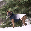 Load image into Gallery viewer, Good Vibes Hoodie - Southlake Paws
