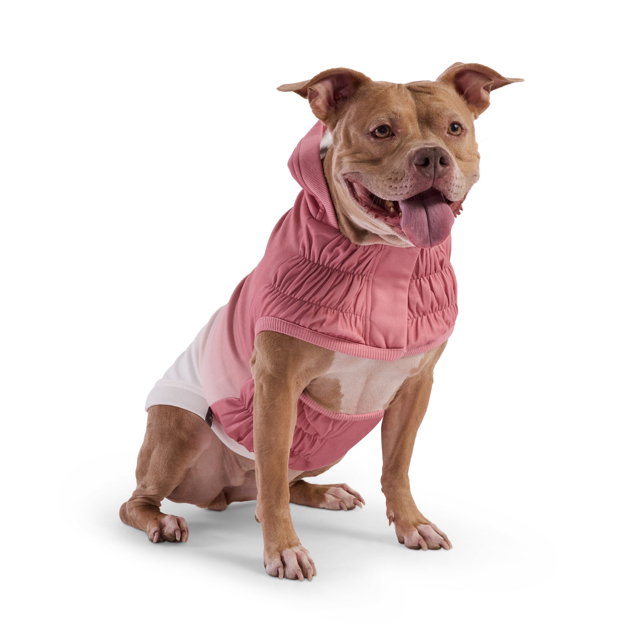 Good Vibes Hoodie - Southlake Paws