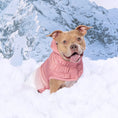 Load image into Gallery viewer, Good Vibes Hoodie - Southlake Paws
