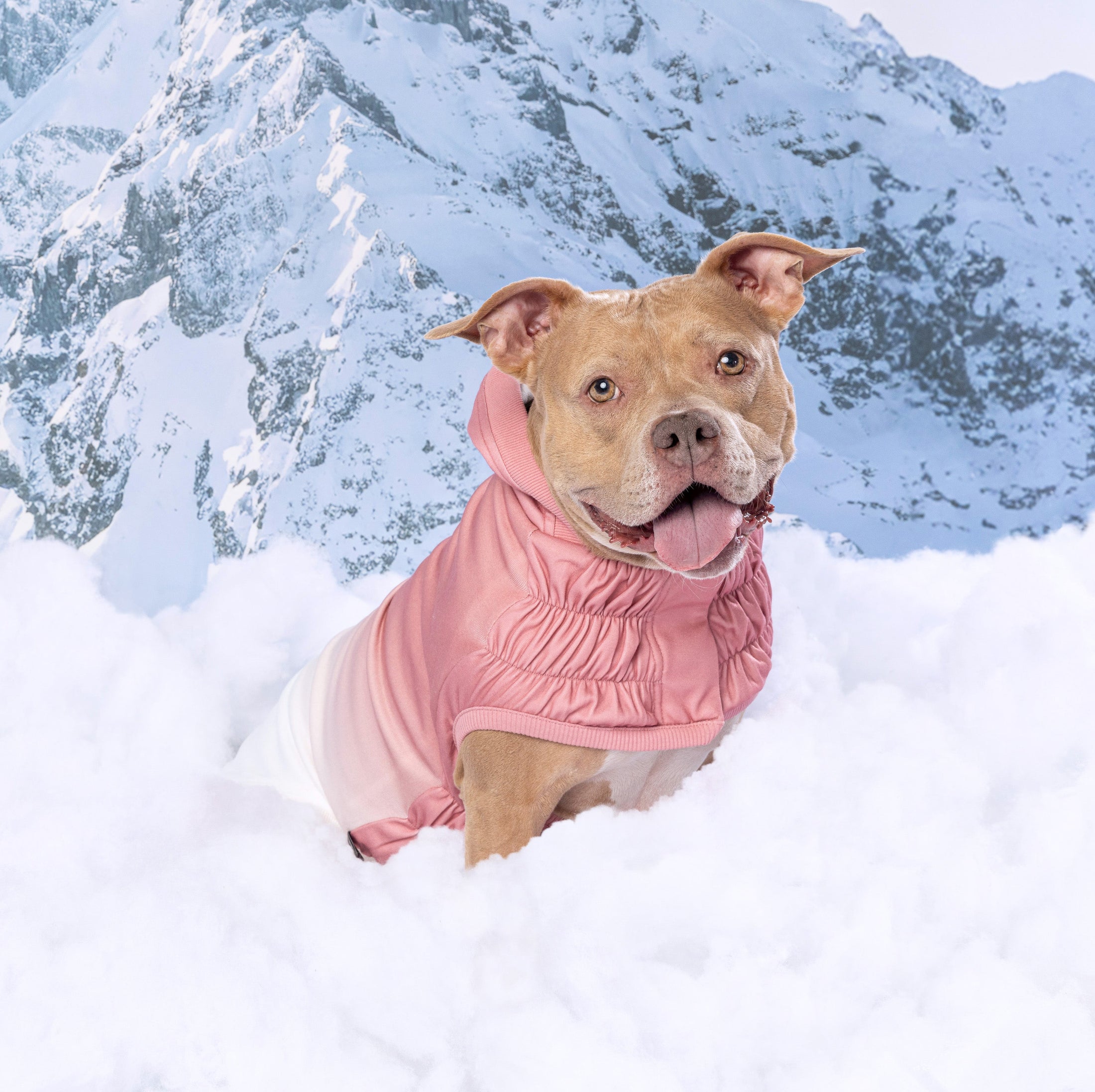 Good Vibes Hoodie - Southlake Paws