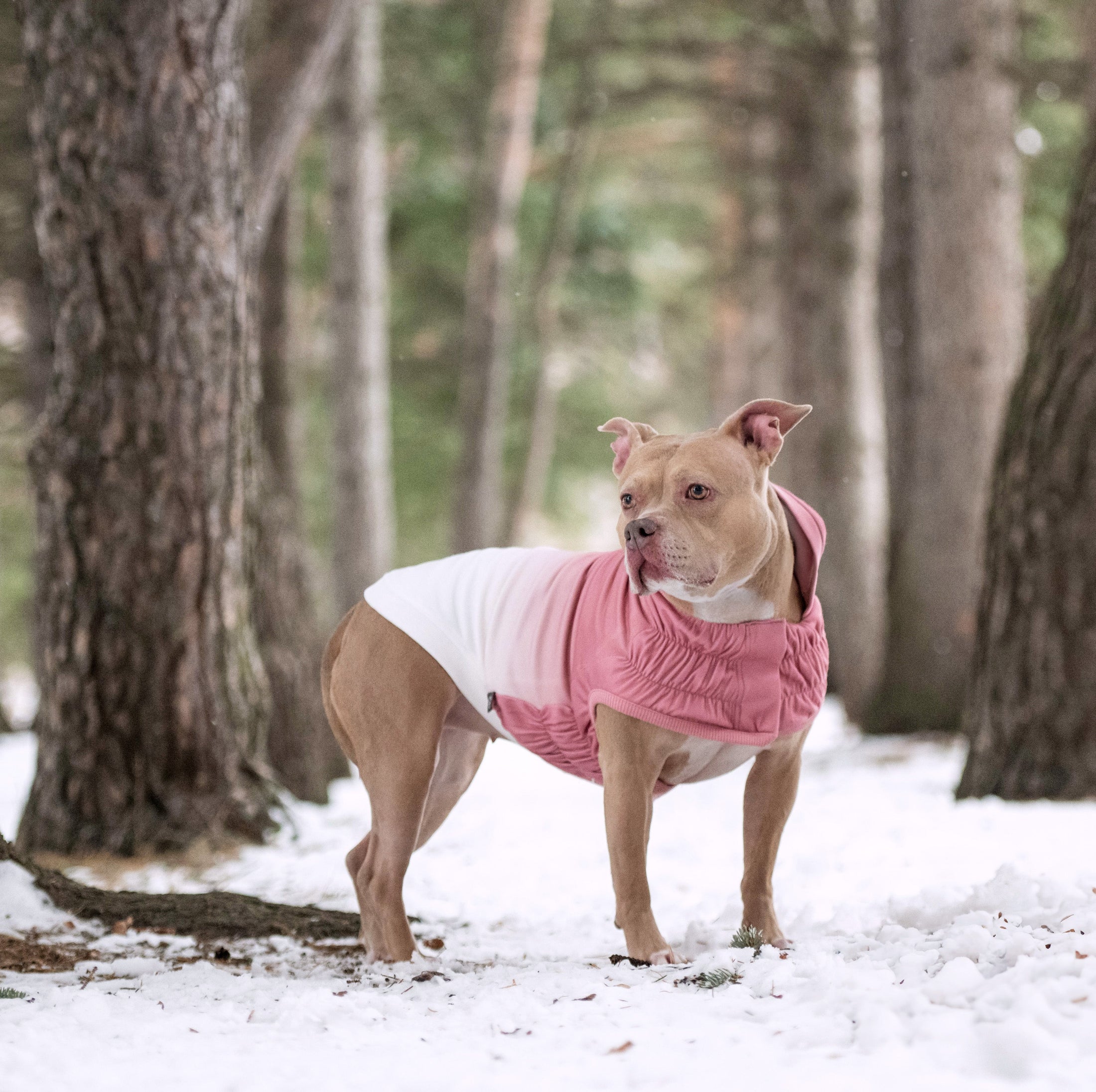 Good Vibes Hoodie - Southlake Paws