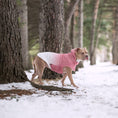 Load image into Gallery viewer, Good Vibes Hoodie - Southlake Paws
