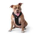 Load image into Gallery viewer, Travel Harness - Black
