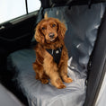 Load image into Gallery viewer, Travel Harness - Black
