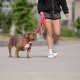 Load image into Gallery viewer, Reflective Collar - Neon Pink
