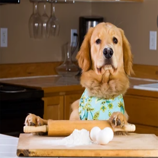 Peanut Butter Macaron Dog Treats | Handmade Sandwich Cookies for Dogs -Organic, Human-Grade