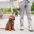 Load image into Gallery viewer, Poop Bag Dispenser - Black
