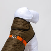 Dog Raincoat Green And Orange Quilt