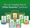 Load image into Gallery viewer, Greenies FELINE GREENIES Savory Salmon Flavored Dental Treats
