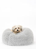 Load image into Gallery viewer, POD DOG BED - Southlake Paws

