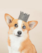 NEUTRAL PARTY CROWNS 