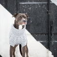 Load image into Gallery viewer, Chalet Sweater - Grey
