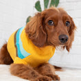 Load image into Gallery viewer, Alpine Sweater - Yellow
