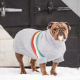 Load image into Gallery viewer, Retro Sweater - Grey Mix
