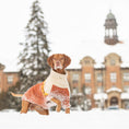 Load image into Gallery viewer, Fireside Sweater - Chili
