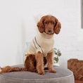 Load image into Gallery viewer, Arctic Sweater - Sand
