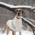 Load image into Gallery viewer, Fuzzy Sweater
