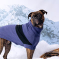 Load image into Gallery viewer, Catalyst Sweater - Southlake Paws
