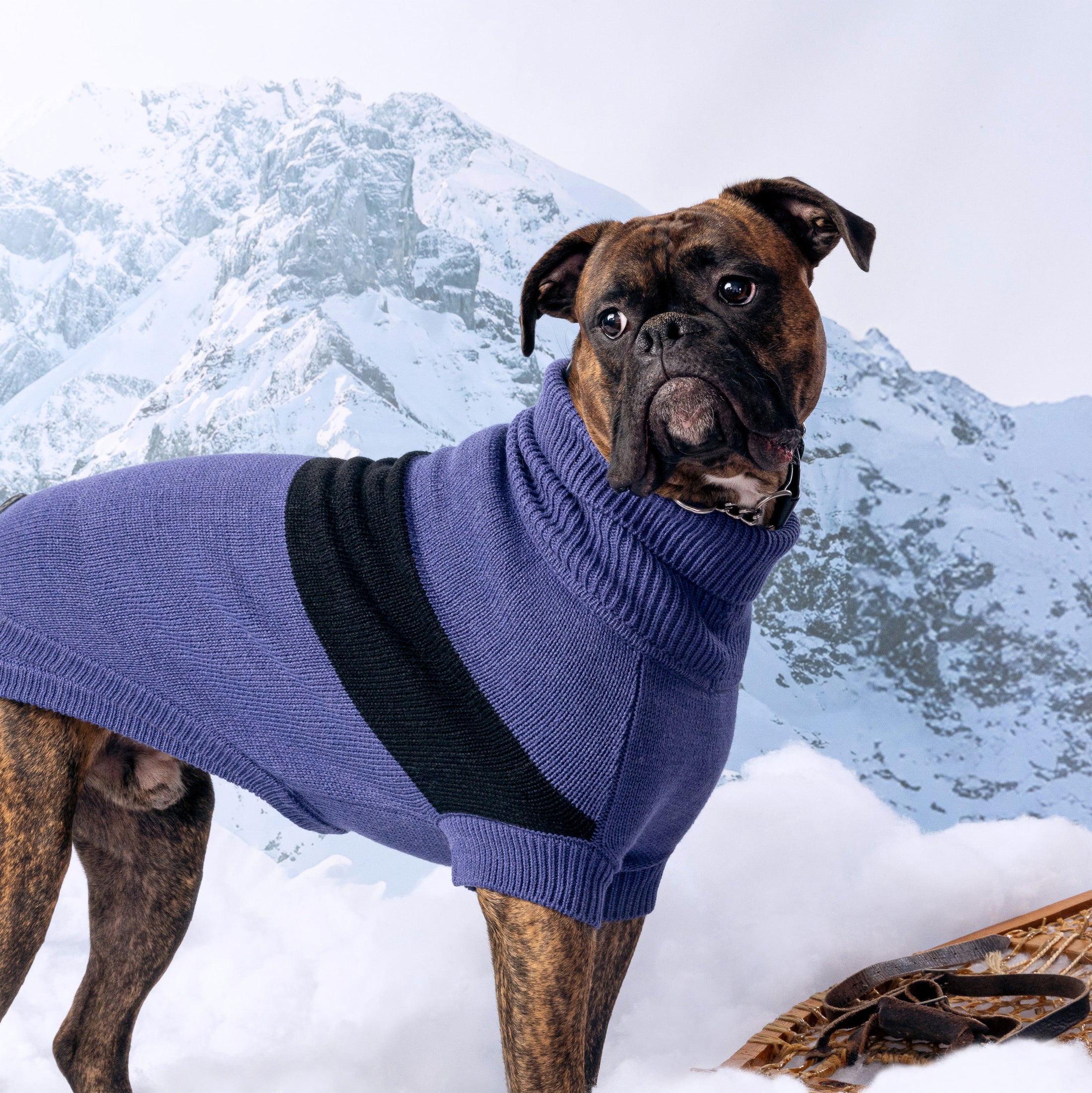 Catalyst Sweater - Southlake Paws