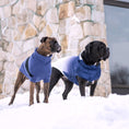 Load image into Gallery viewer, Catalyst Sweater - Southlake Paws
