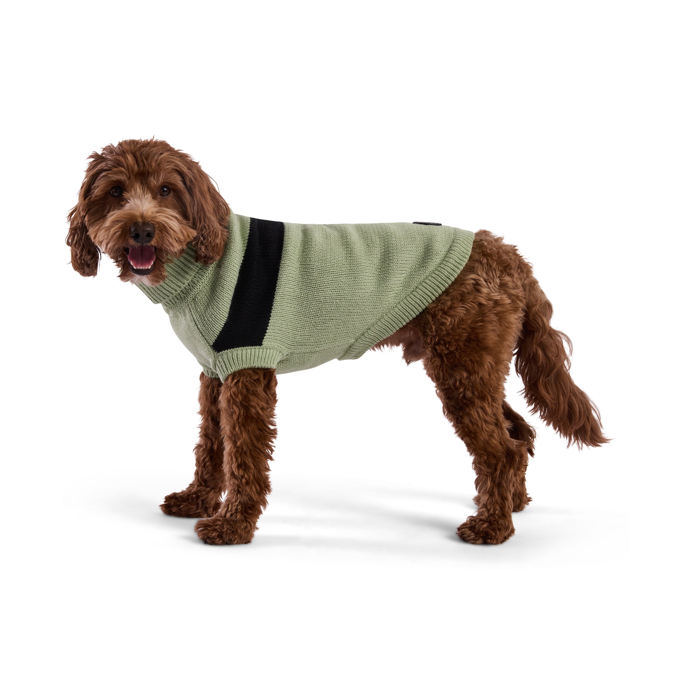 Catalyst Sweater - Southlake Paws