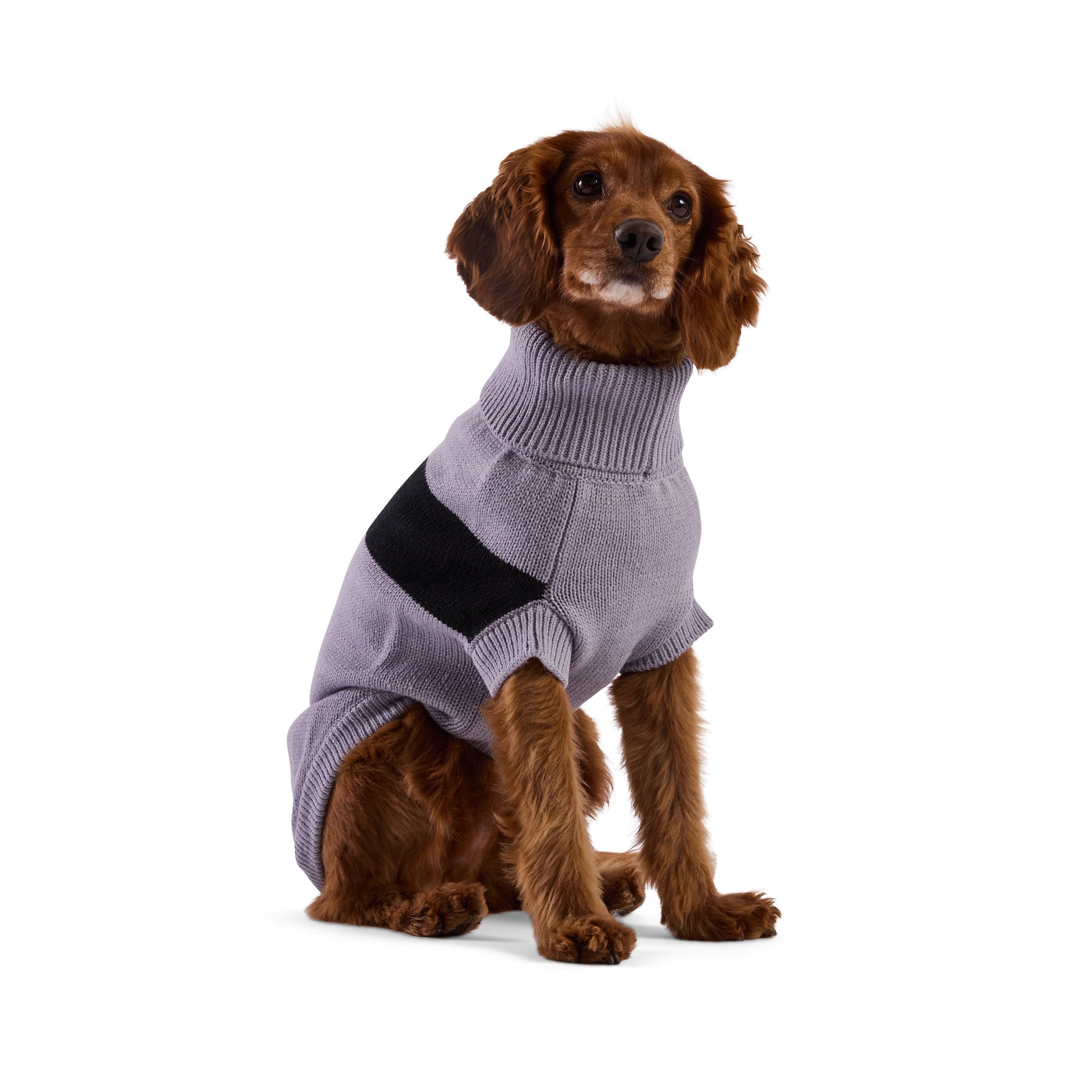 Catalyst Sweater - Southlake Paws