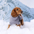 Load image into Gallery viewer, Catalyst Sweater - Southlake Paws
