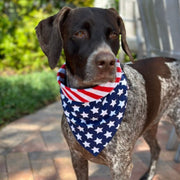 American Flag Bandana Dog Collar