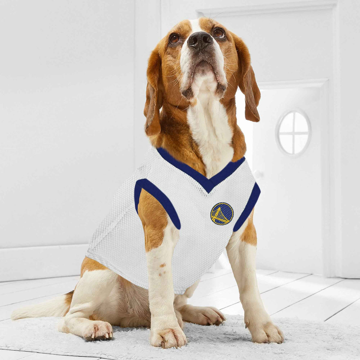 NBA Golden State Warriors Road Basketball Dog Jersey
