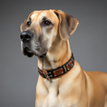Load image into Gallery viewer, The "Hunter" collar - Southlake Paws
