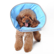Get Better Recovery E-Collar