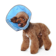 Get Better Recovery E-Collar