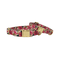 Load image into Gallery viewer, Gianna Dog Collar
