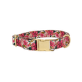 Load image into Gallery viewer, Gianna Dog Collar
