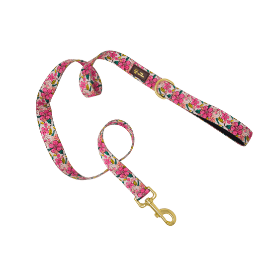 Gianna Dog Leash