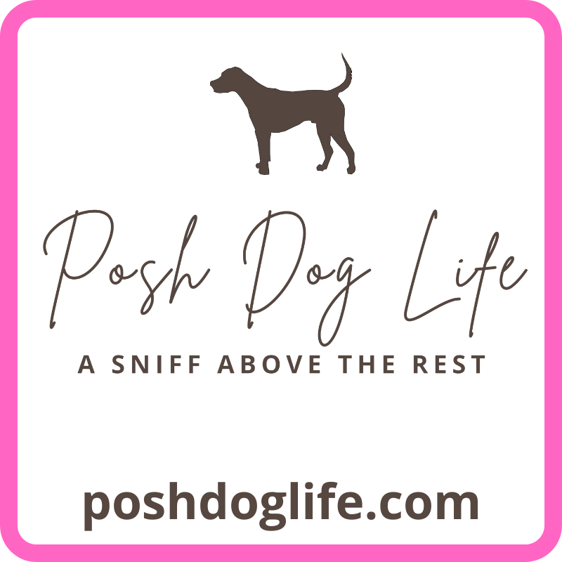 Poshdoglife.com Gift Card - Southlake Paws