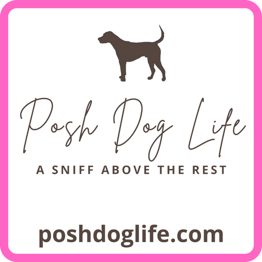 Poshdoglife.com Gift Card - Southlake Paws