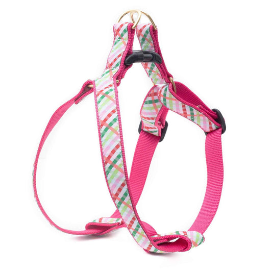 Up Country Gingham All the Way Dog Cast Brass Dog Harness