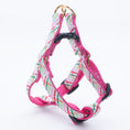 Load image into Gallery viewer, Gingham All the Way Small Breed Dog Harness
