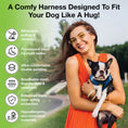 Load image into Gallery viewer, EcoBark Step In Dog Harness - XXXS to Small Breeds- Reflective Soft Mesh Harness for Teacup, Small Dogs and Puppies / Bright Blue Sport
