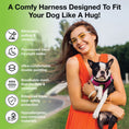 Load image into Gallery viewer, EcoBark Fuchsia Step In Dog Harness - Reflective Soft Mesh Harness for Teacup, Small Dogs and Puppies / Fuchsia Sport

